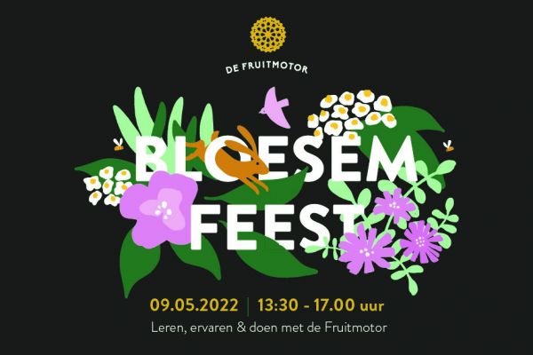 Bloesemfeest