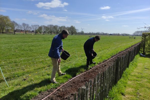 Zorg voor bloemen