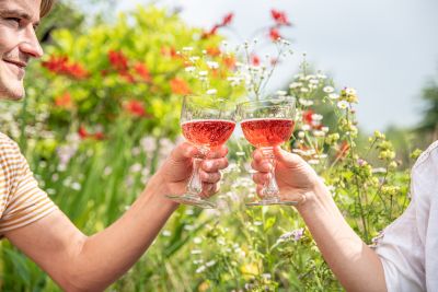 Aan de slag voor een duurzame fruitregio met Regio Deal