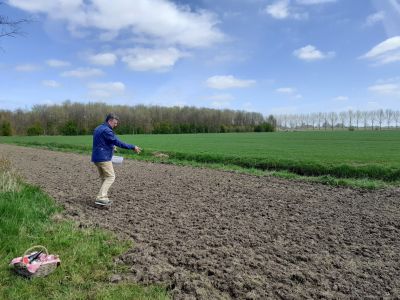 Mooie zaaidag in de Kuilenburger Polder